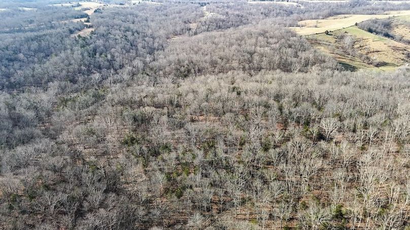 DJI_20260107134136_0008_D