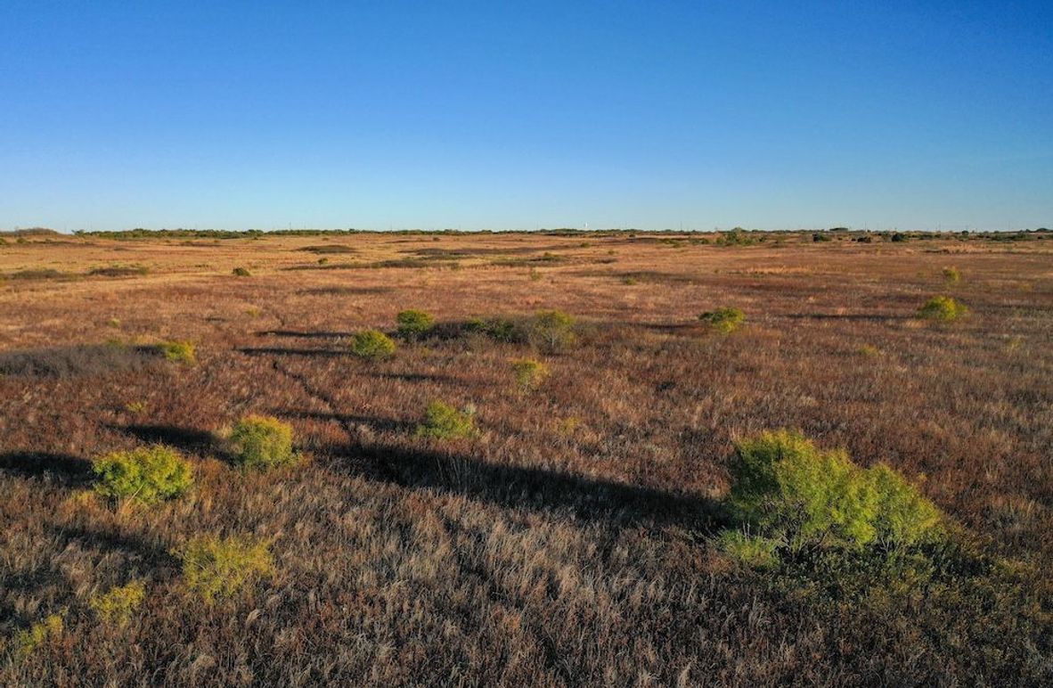 org_48c34ea9f655a056_1762732610000