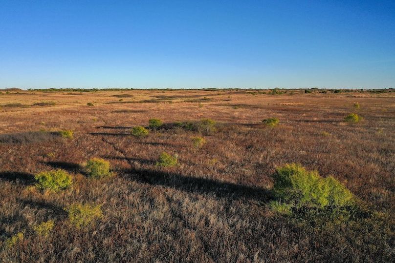 org_48c34ea9f655a056_1762732610000