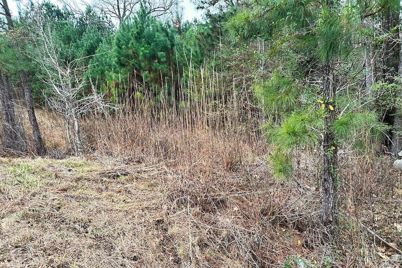 04 Entrance to Property