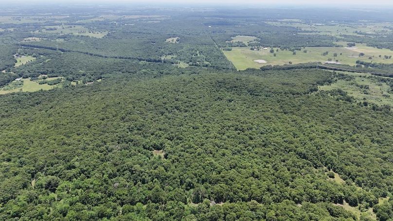 DJI_20240521134927_0012_D