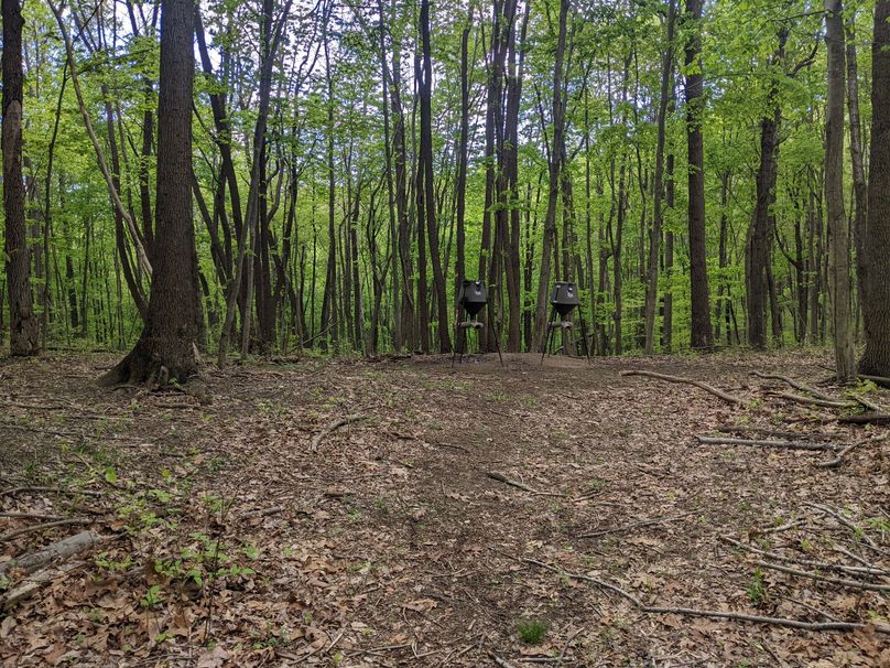 PXL_20230504_221132844