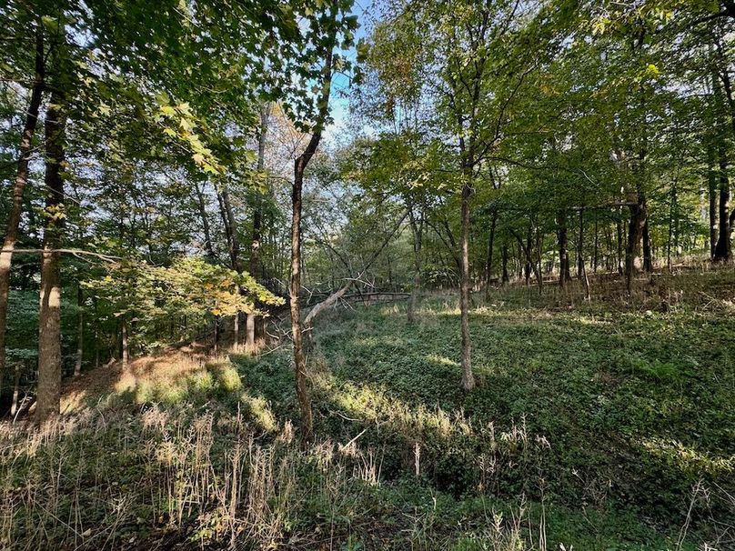 Richland 199Ground - 45