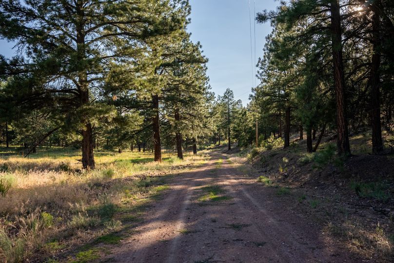 Cibola NM 13,053--88