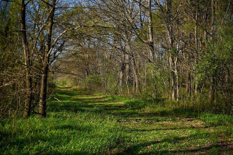 vandalia 450 (2)-2451