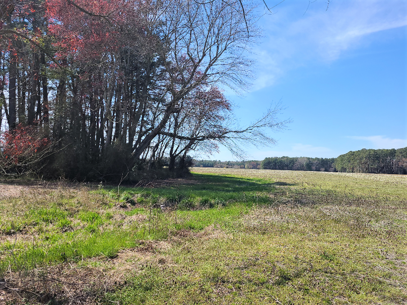 115.68ac_HarmonyRd_PIC_008