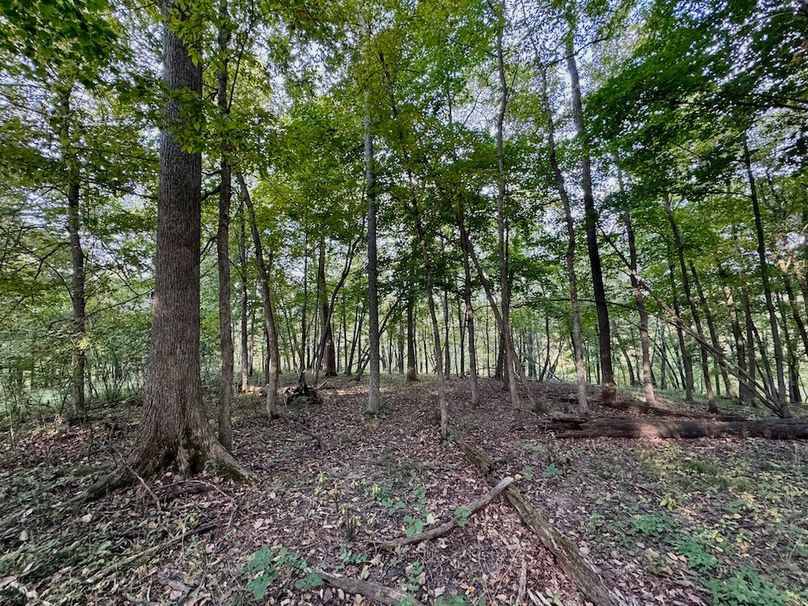 Richland 199Ground - 48