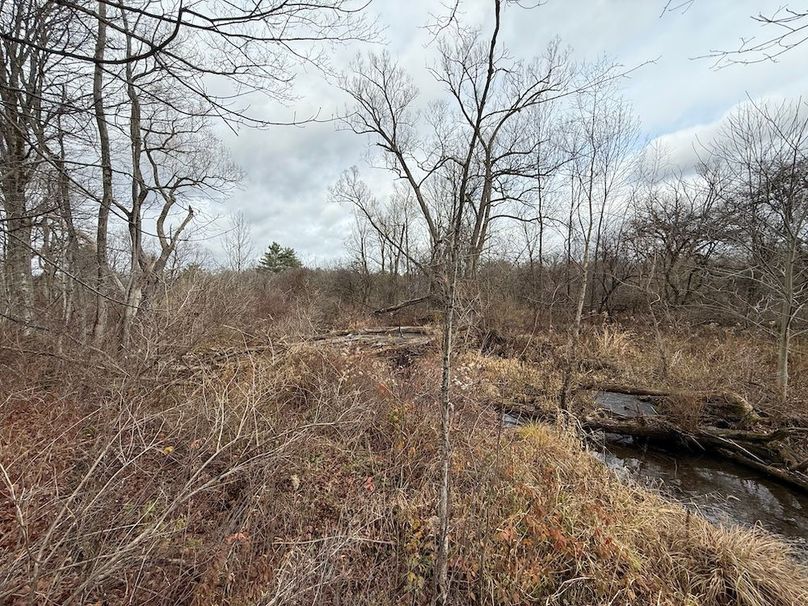 Tompkins_15.15_Galarza Photo 36