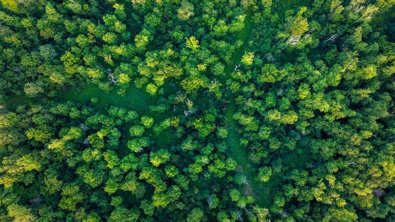 Copy of DJI_20250808064331_0075_D Large