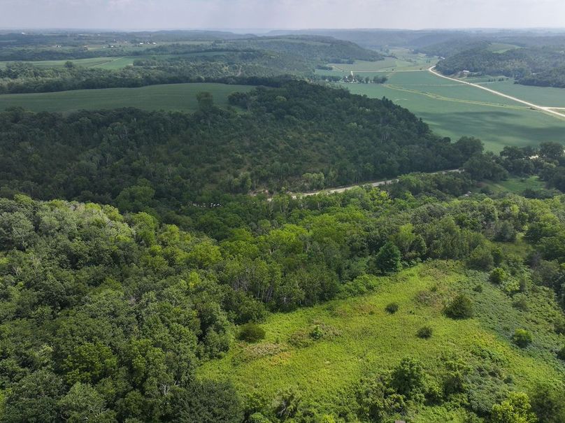 Goodhue 78.81 New -12