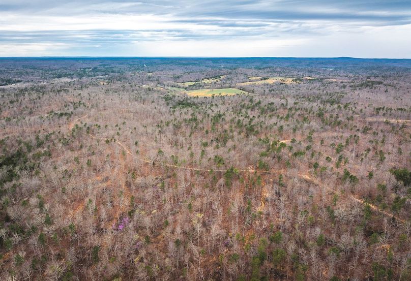 DJI_20250403135415_0614_D