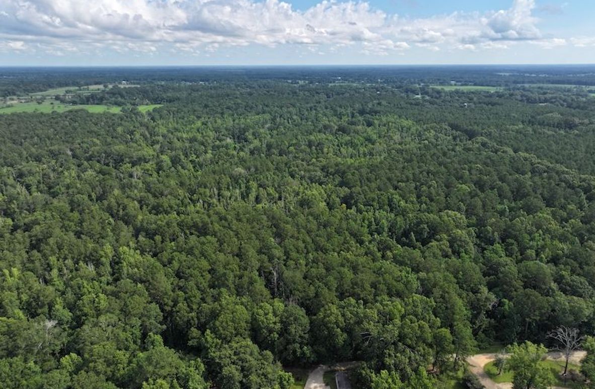 dji_fly_20250624_100314_0130_1750950818169_photo