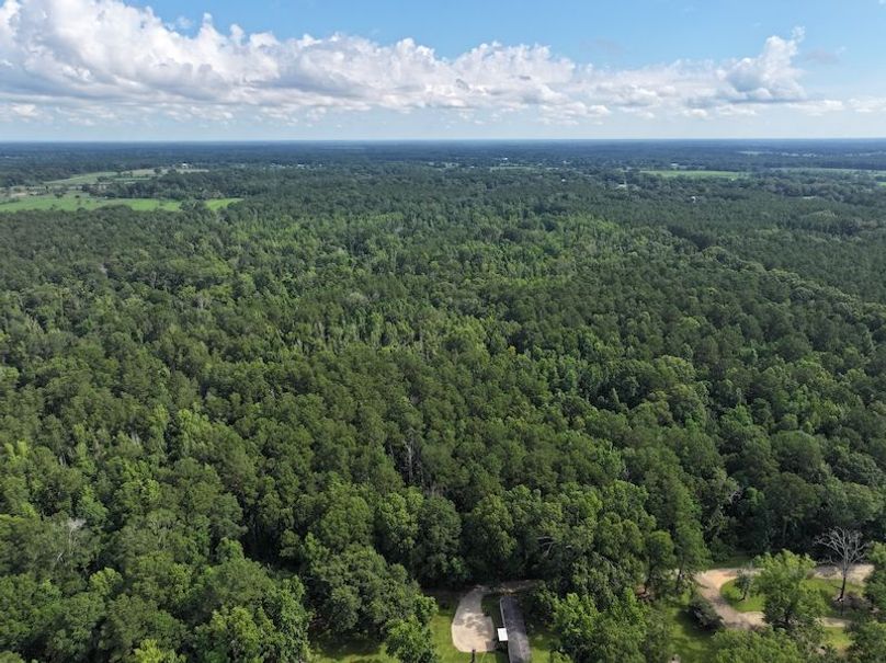 dji_fly_20250624_100314_0130_1750950818169_photo