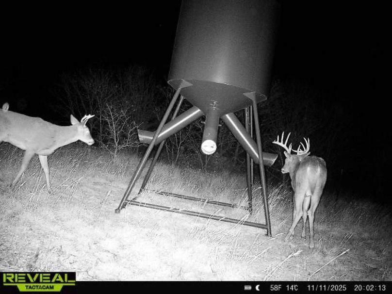 865977050266538-100-4-11112025200212-W1002018