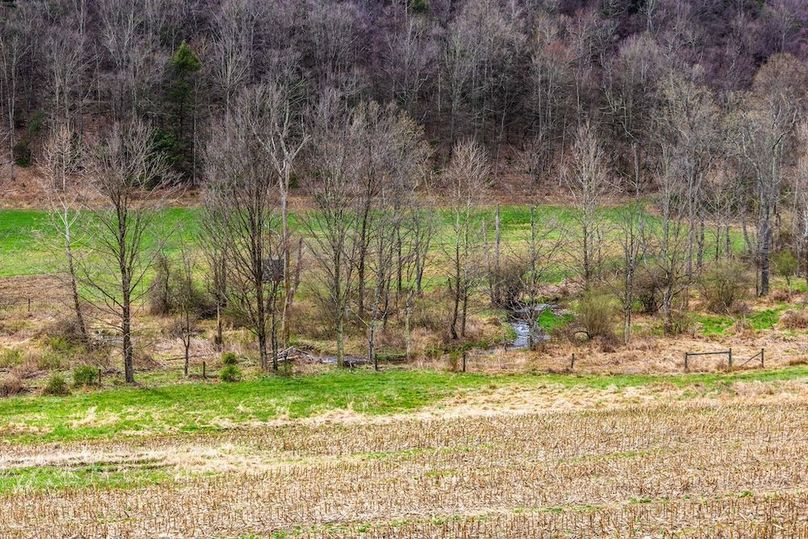 24-web-or-mls-IMG-24