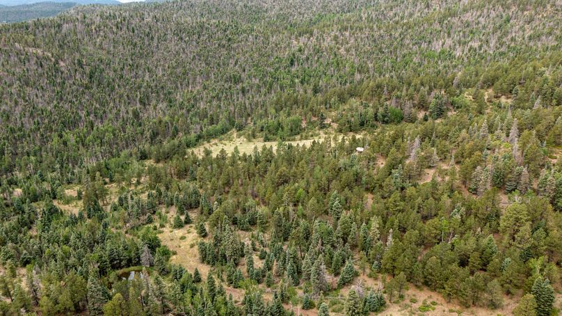 Copy of Los Alamos 508 6-24 Drone-24