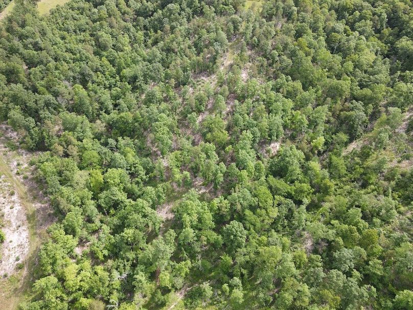 DJI_0455