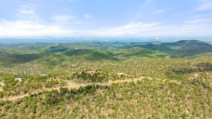 DJI_0192