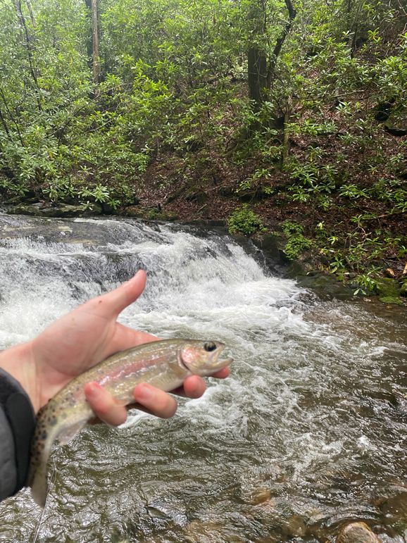 Cherokee 97.28+_- Stiles-02