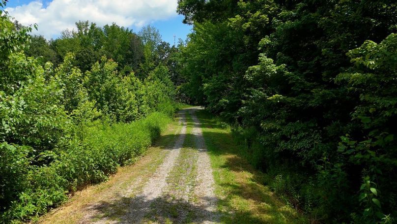 Sequence 10.00_00_14_08.Still001