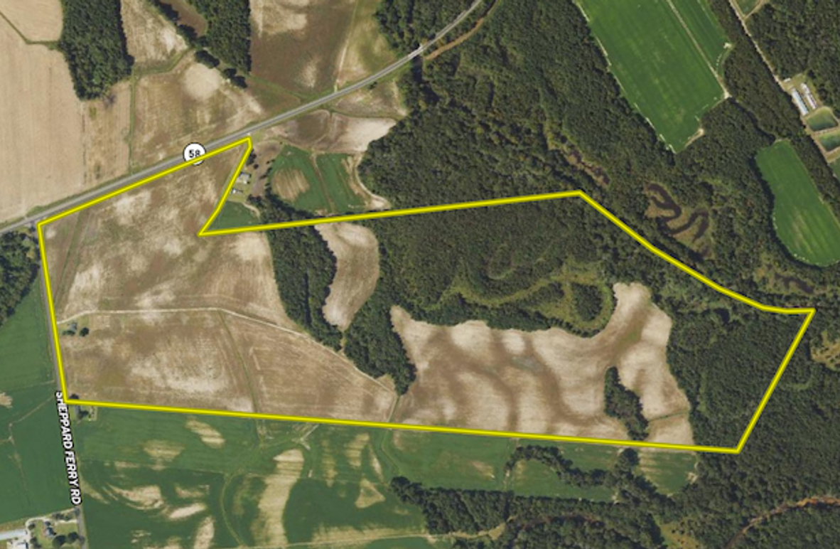 Screenshot 2025-03-10 085801