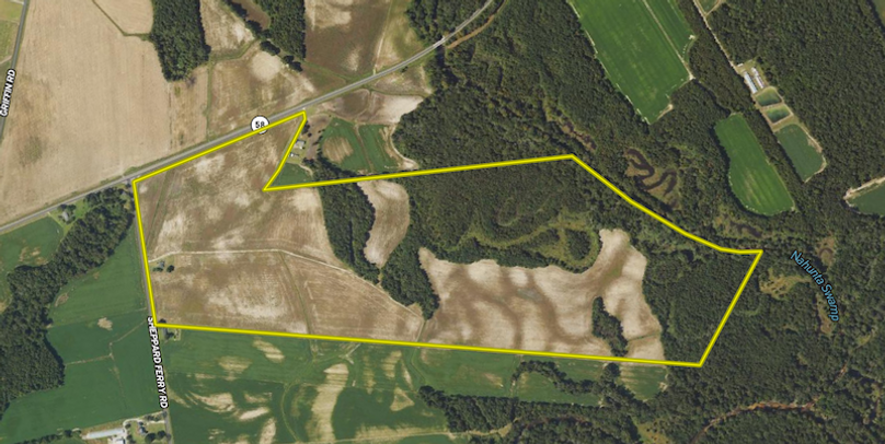 Screenshot 2025-03-10 085801