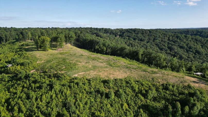 Copy of Copy of dji_fly_20240703_133702_510_1719964282613_photo