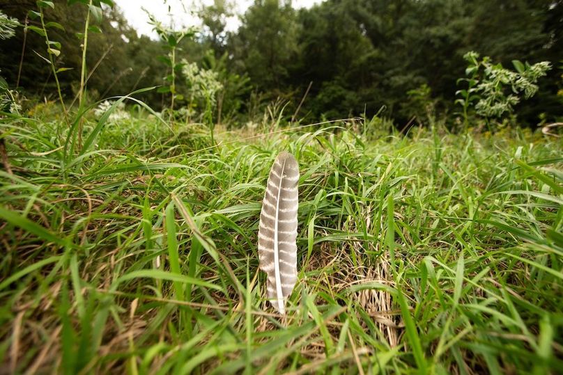 FREMONT CO IA 159.05_74