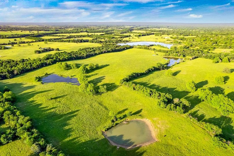 Fannin County- 134.4 acres-15