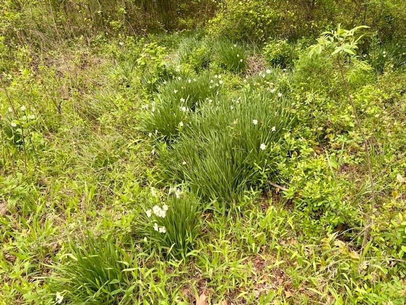 4CF0BB3B-224C-411A-B81D-C2E107F2AFF3_1_105_c