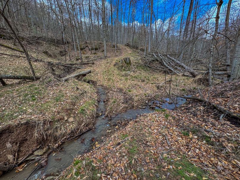 Wirt, WV 156.941 AC Full-36