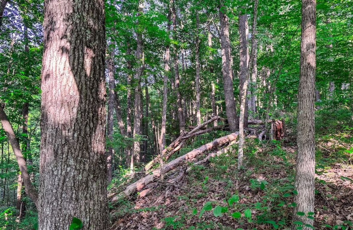 Ritchie, WV 92 AC Thompson-01