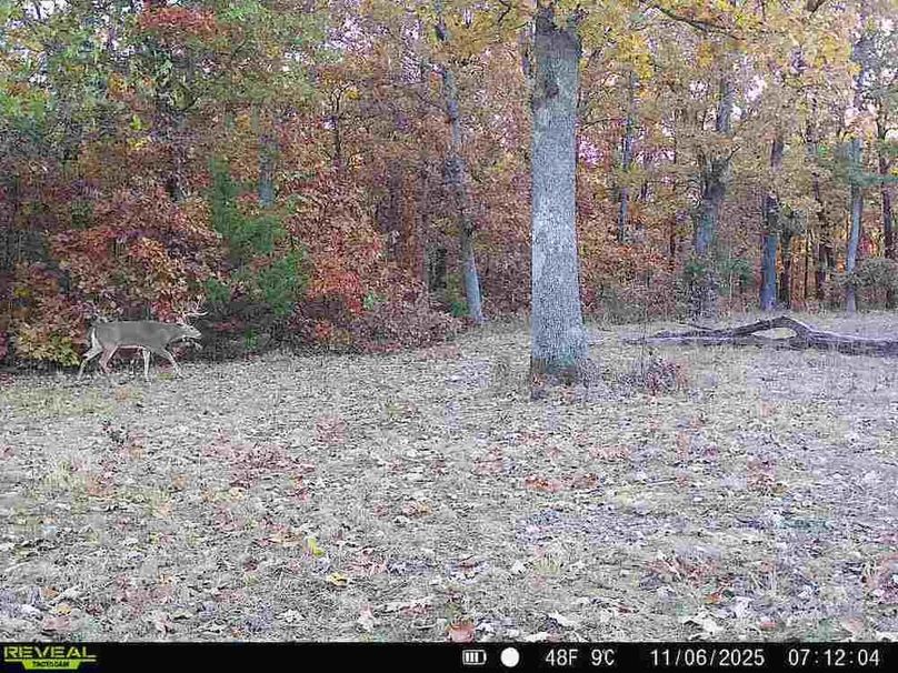 860516062938992-60-3-11062025071204-W1022837