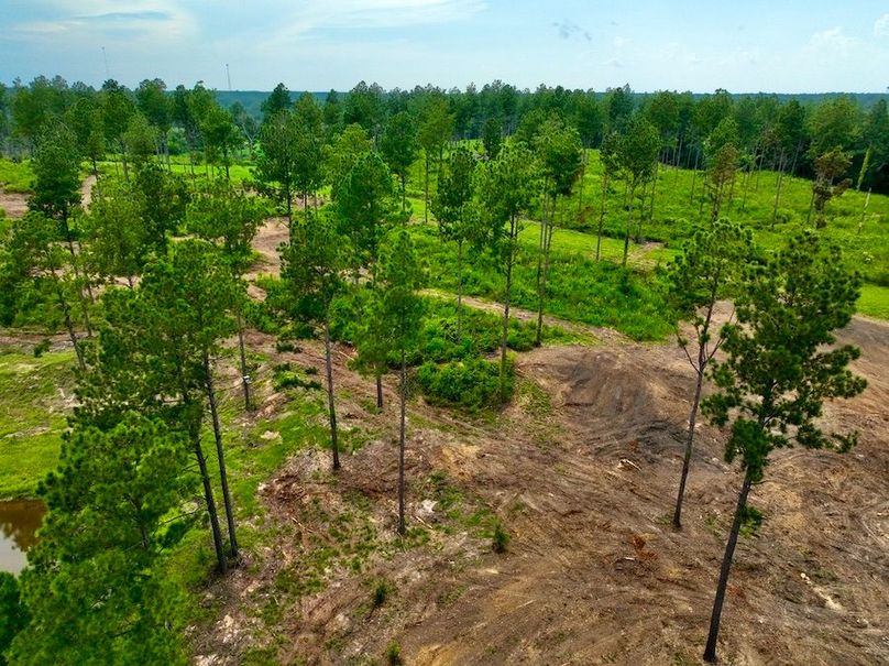 F31164D9-560E-4A15-B421-BE400F55EA56_1_105_c