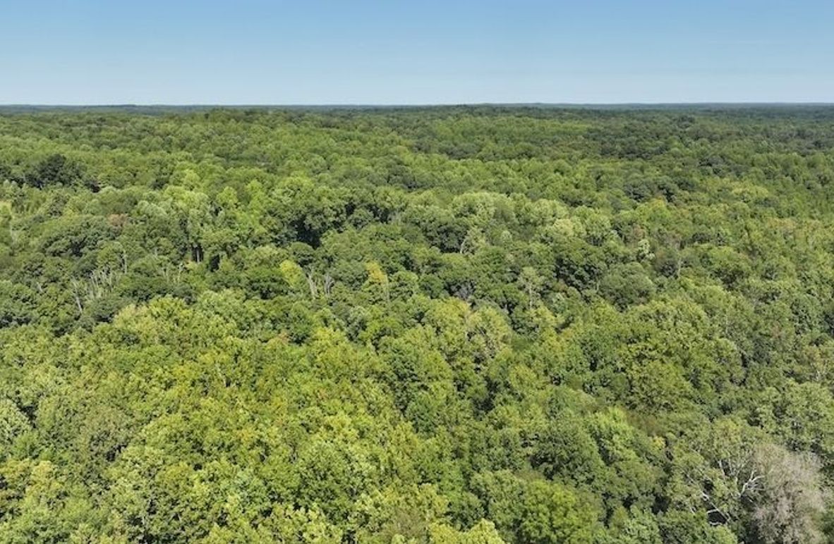 dji_fly_20240904_132516_0366_1725471197163_photo