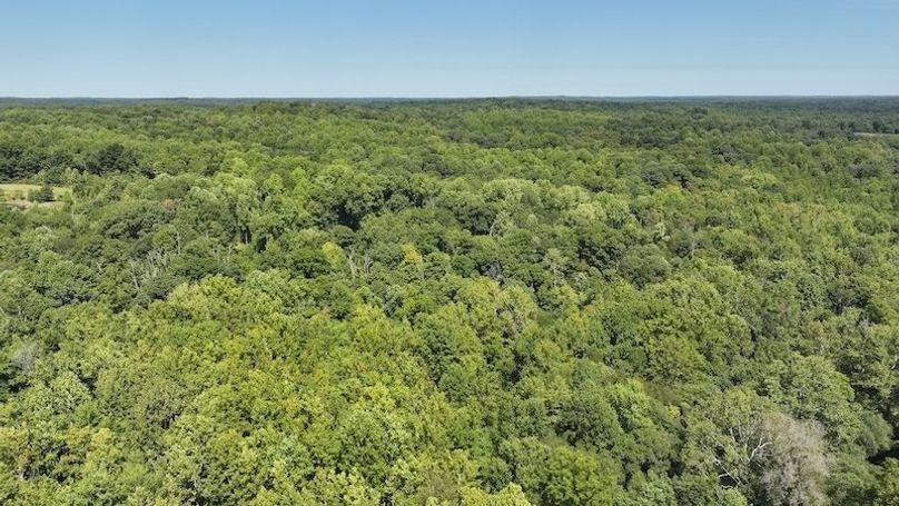 dji_fly_20240904_132516_0366_1725471197163_photo