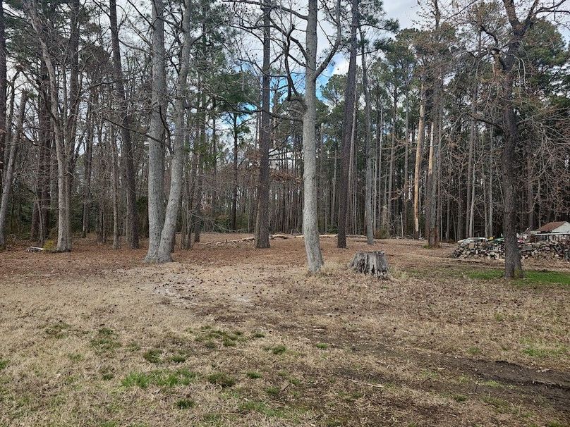 Romancoke_QAnnes_PIC_018