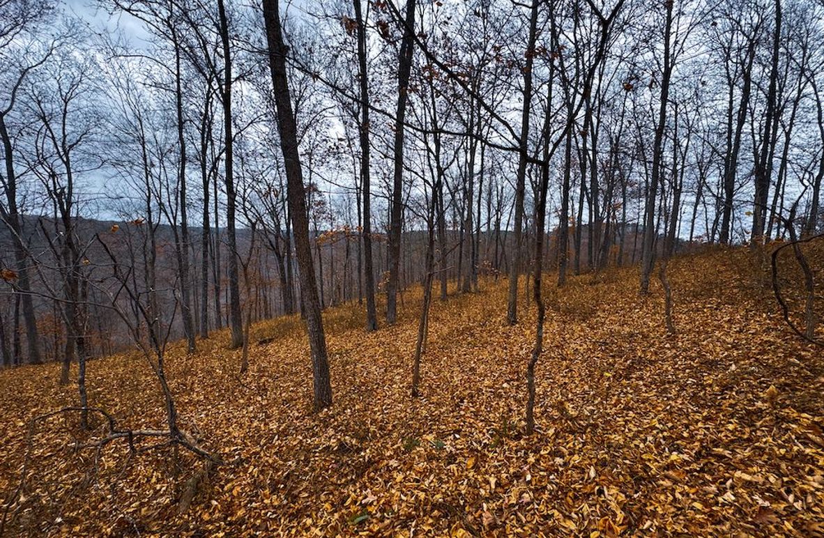 Ritchie, WV 100 AC Harper-05