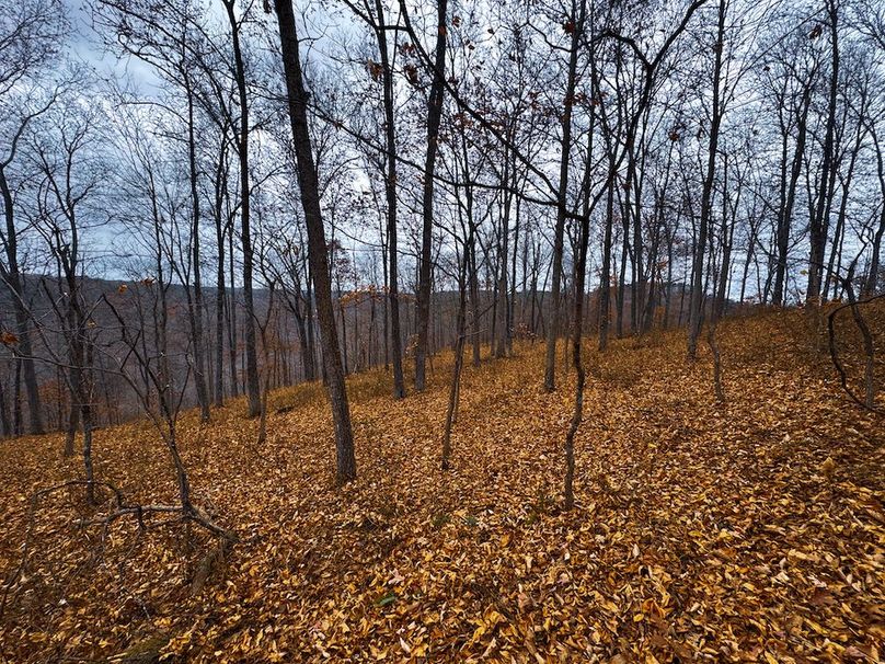 Ritchie, WV 100 AC Harper-05