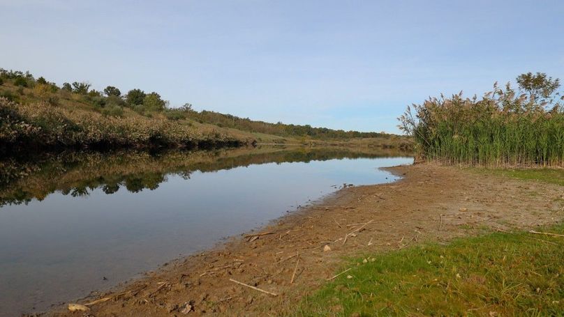 Sequence 07.00_04_24_15.Still151