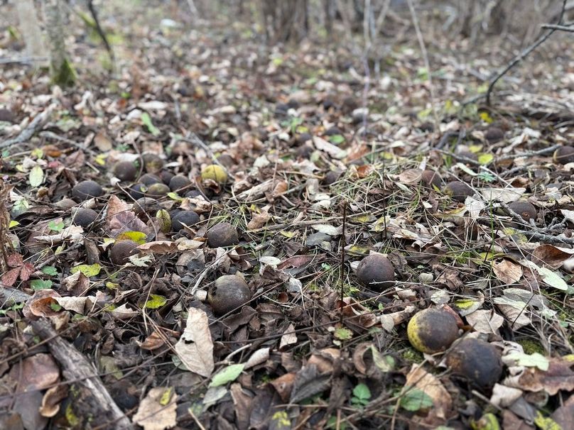 Tompkins_5.12_Galarza Photo 9