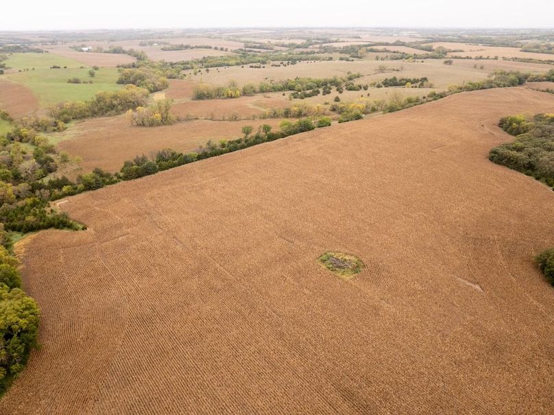 DJI_20251011101505_0123_D