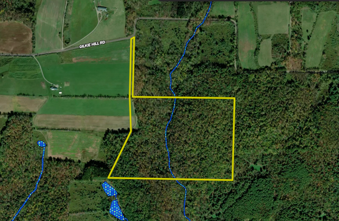 Tioga_59.597_Barnes_Landid_5