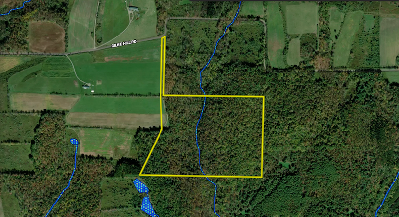 Tioga_59.597_Barnes_Landid_5