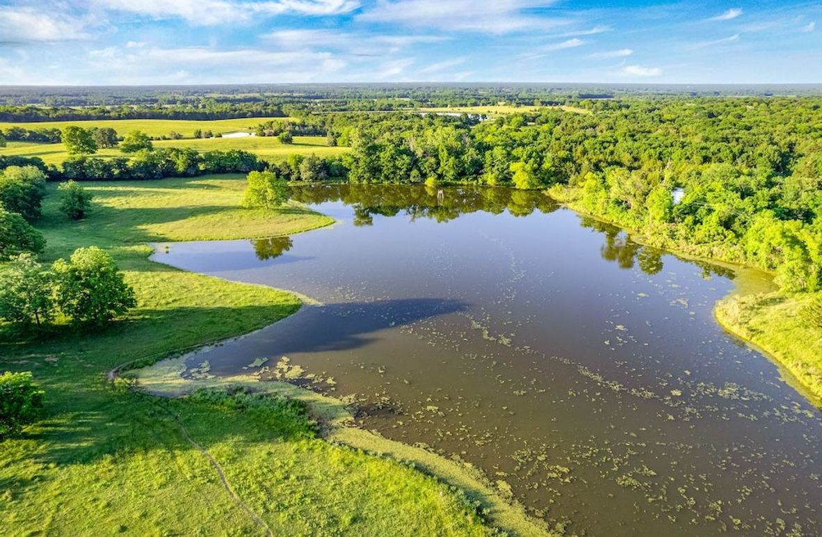 Fannin County- 134.4 acres-4