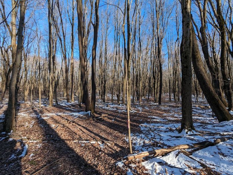 PXL_20240229_212212109