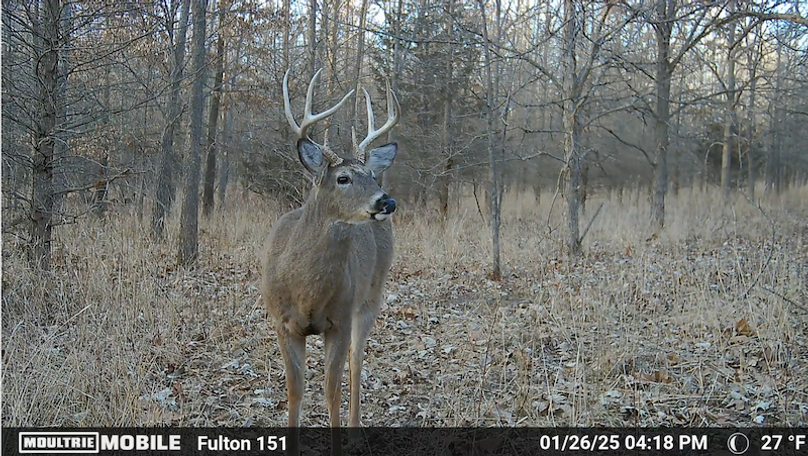 Screen Shot 2025-07-16 at 12.38.33 AM