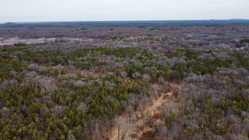 dji_fly_20250404_125934_737_1744067524199_photo_optimized 2