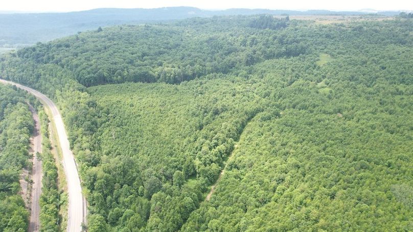 dji_fly_20240621_113838_302_1718984629037_photo