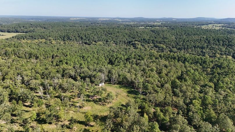 DJI_20250823103403_0124_D